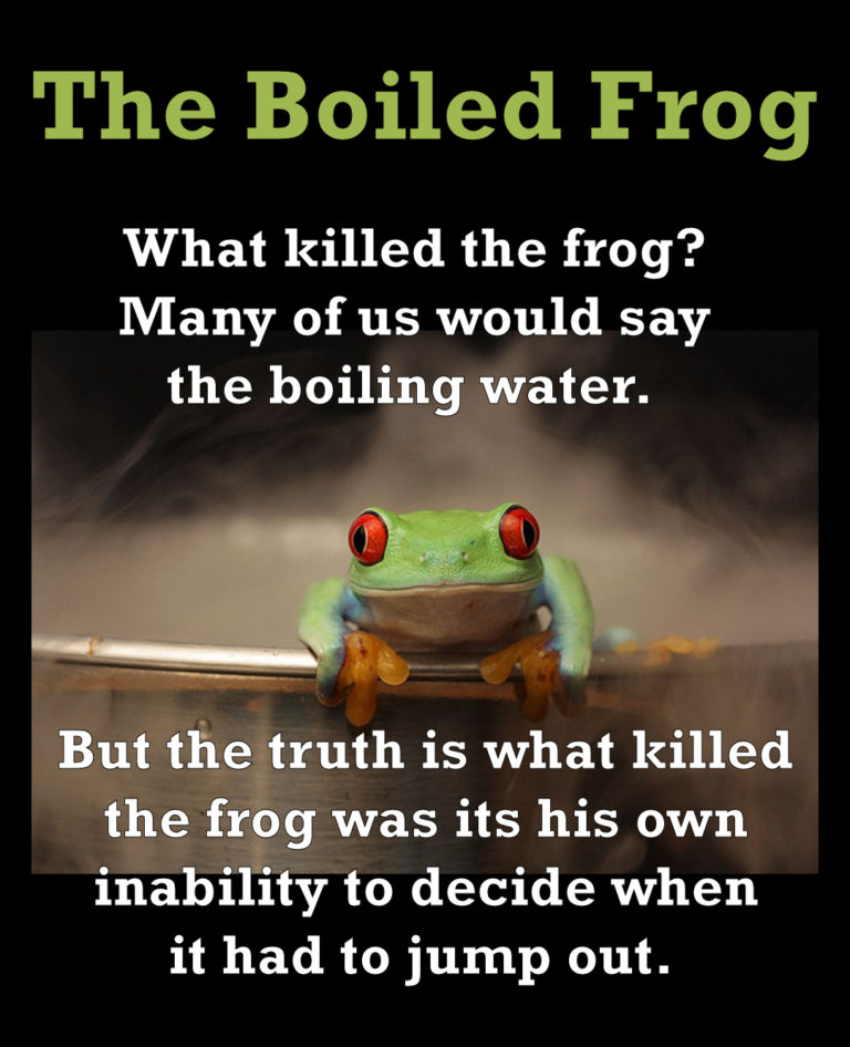 Boiled Frog